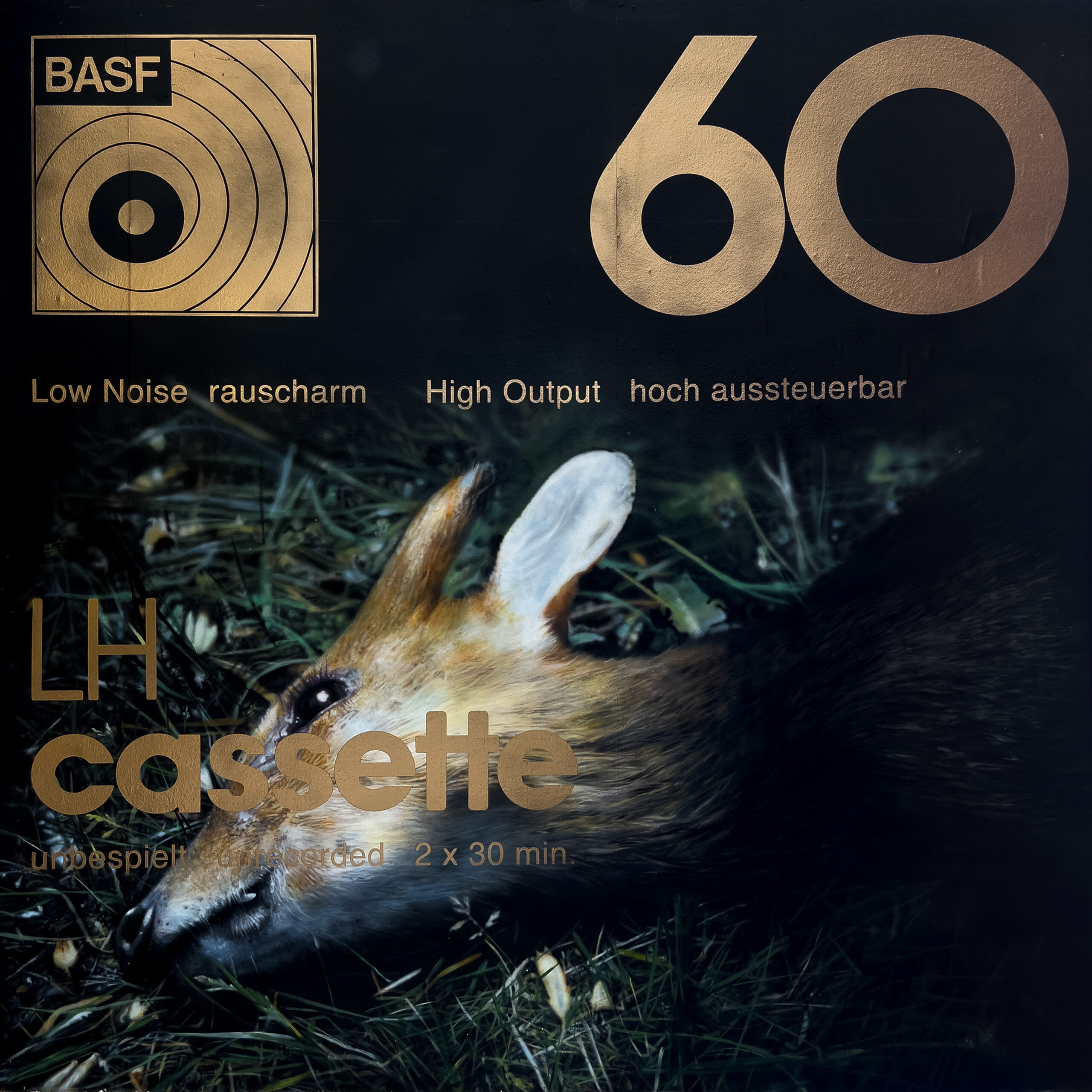 BASF 60 — Low Noise / High Output. A painted collision of analogue technology, graphic design and the natural world.