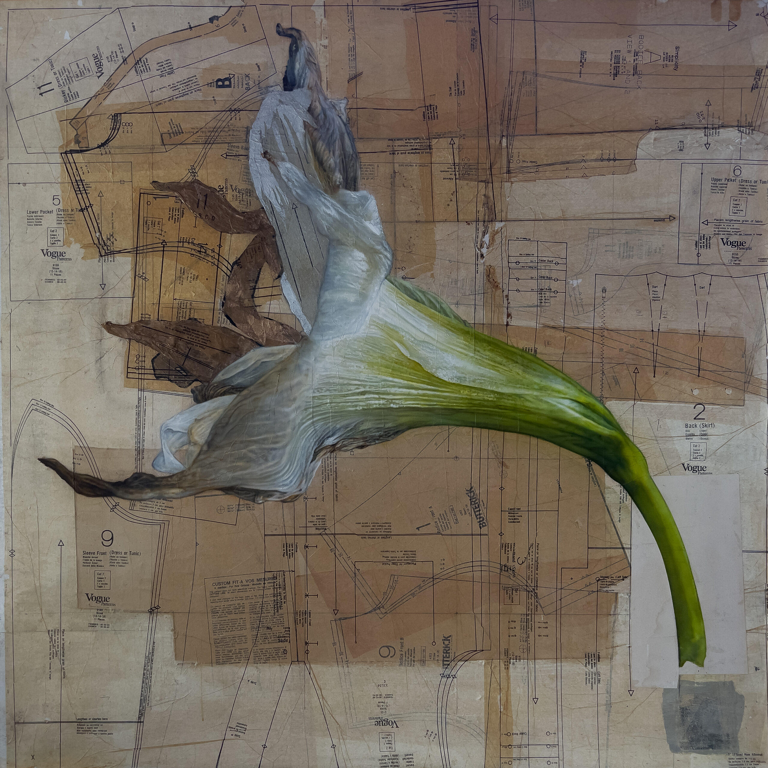 A white Amaryllis across layered vintage dressmaking patterns.